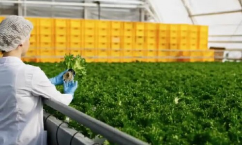 Gıda Endüstrisinde Rezistans Gıda Endüstrisinde Rezistans